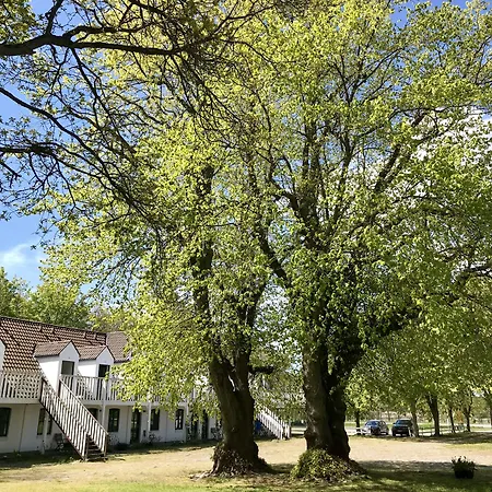 Nygaard Laeso Ξενοδοχείο 3*